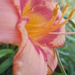 Meet your Posher, April